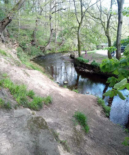 New Dam at Rivelin Valley